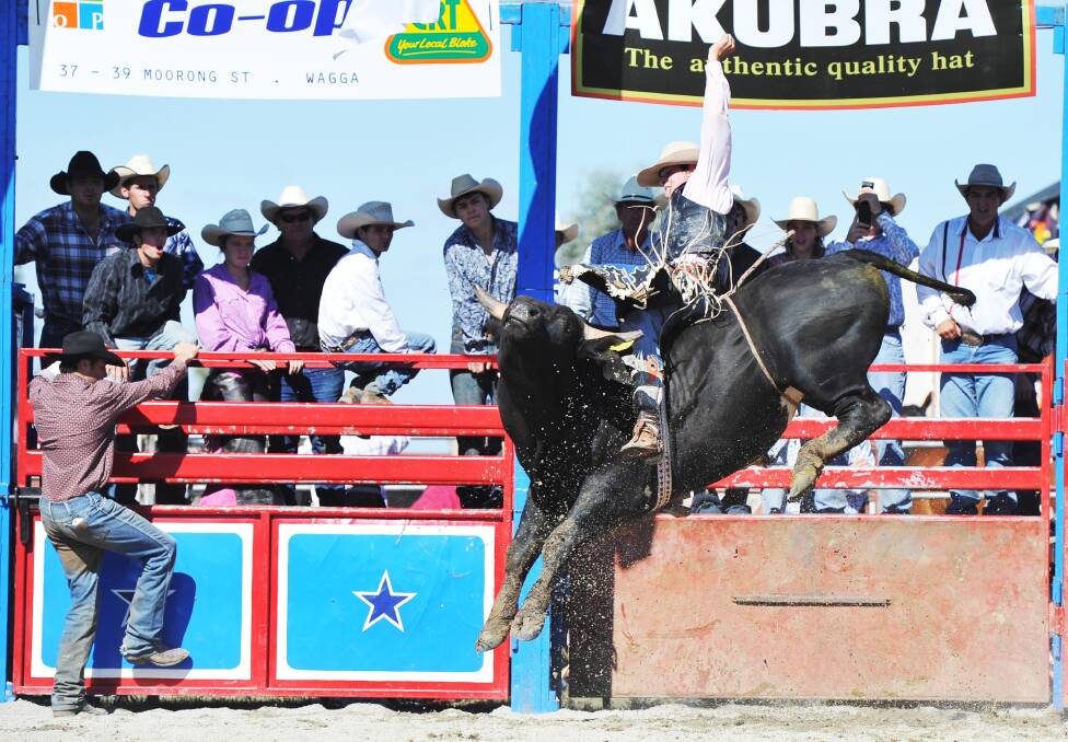 Matt Turner competes in the 2012 Wagga Rodeo.