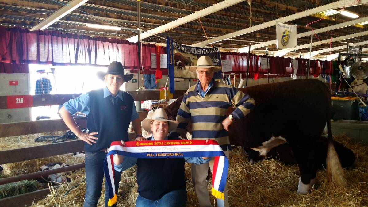 Nicole, Kimberley and John Rodd from Wagga Poll Herefords with their champion bull at Royal Canberra Show.