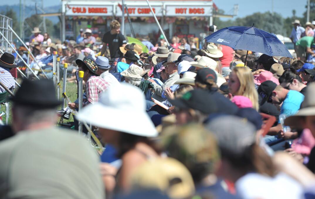 Large crowds at the Wagga Rodeo in 2012.