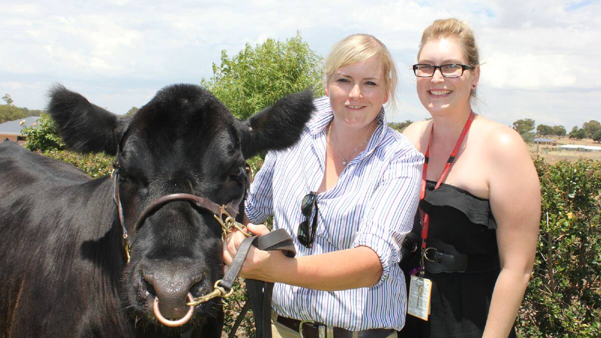 Sisters Nicole and Fiona Rodd both work in mental health and are preparing this steer to raise money for the cause.