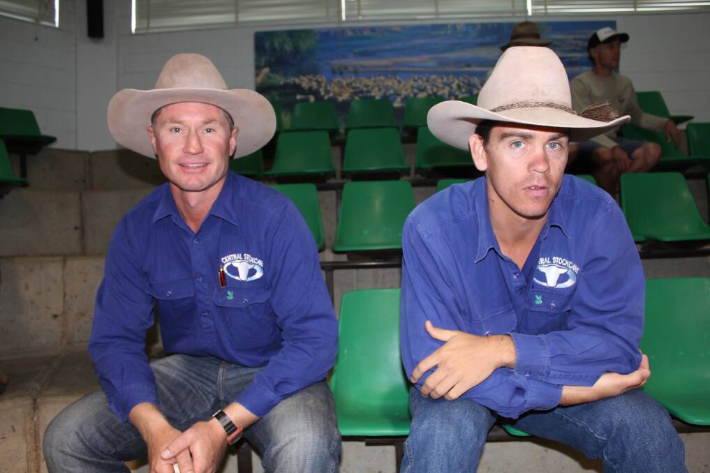 David Lindberg and Simon Green of Bullsbrook at the Wagga cattle sale on Monday. Picture: Holly Martin 