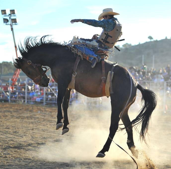 Scott Waterson competes at the 2013 Wagga Rodeo. Pictures: Addison Hamilton