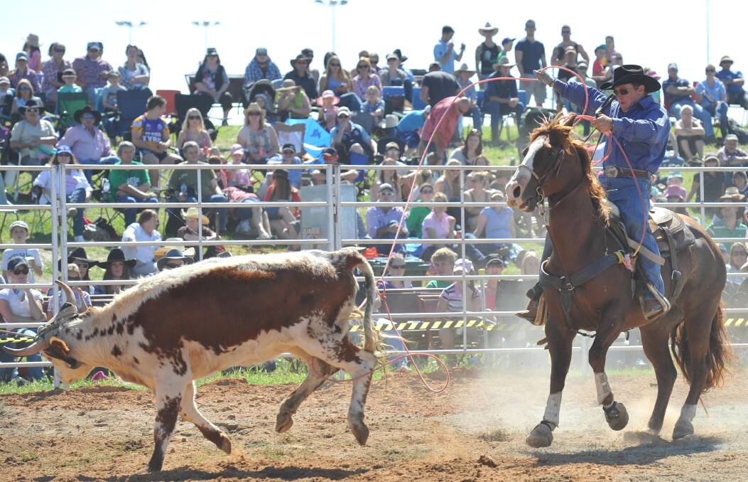 Mick Reynolds from The Rock participates in the team roping at the Wagga Rodeo in 2012.