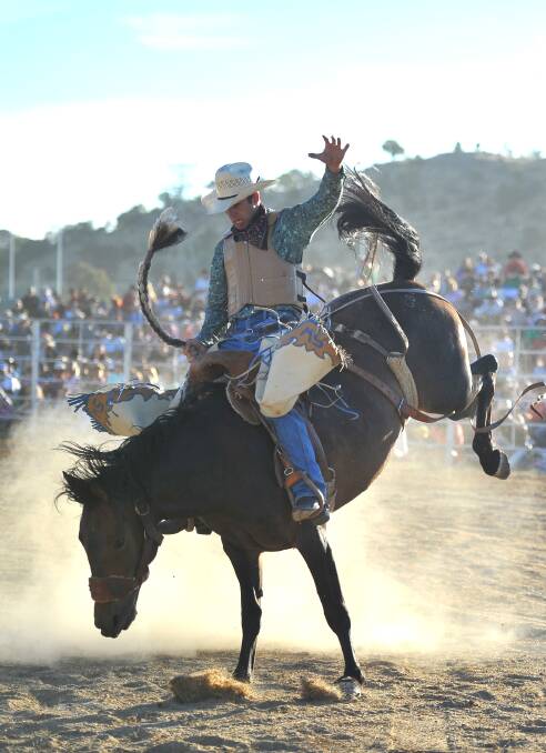 Scott Waterson in the saddle bronc at the Wagga Rodeo last year. Picture: Addison Hamilton