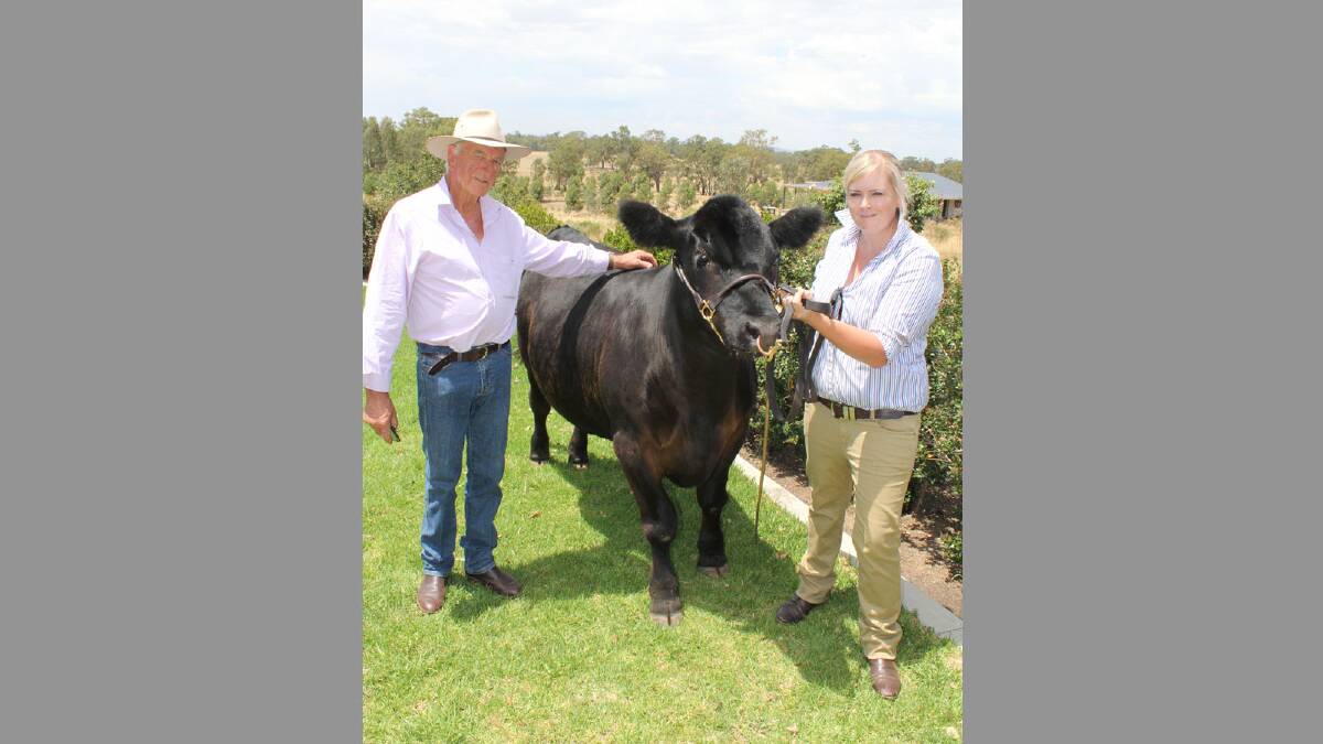The charity steer "Blue Recovery" with John Rodd and daughter Nicole Rodd