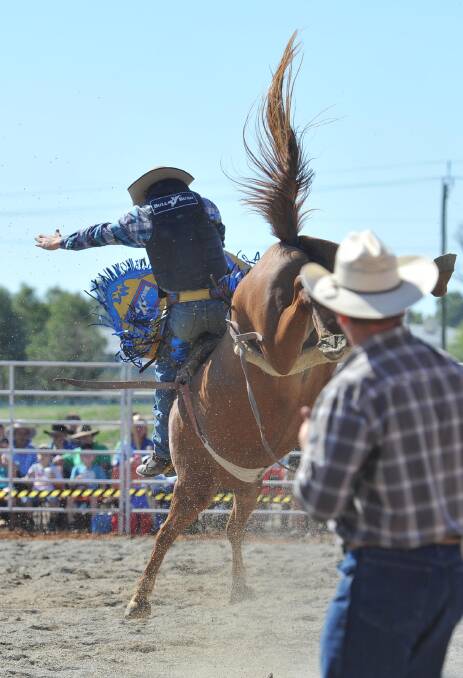 Bronc competitor Shane Thompson at the Wagga Rodeo in 2012.