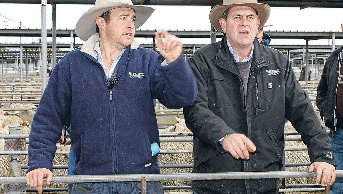 H FRANCIS livestock agents Evan Traviss and Tim Francis at the Wagga sheep and lamb sale. Picture: Kate Bragg 